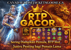 canadagoosejacketsgoose.ca