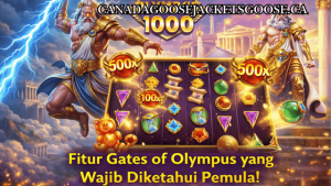 canadagoosejacketsgoose.ca